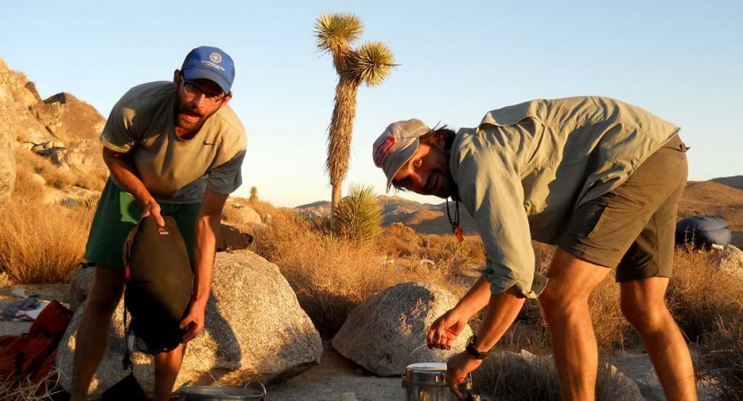 Two people look at the camera as they set gear down. There is a joshua tree in the background. 